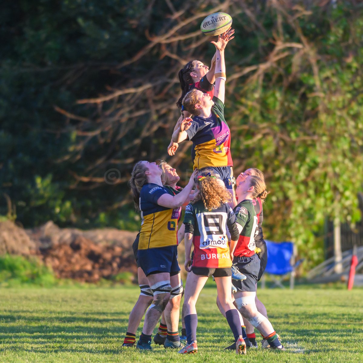 GBR Photos tweet media