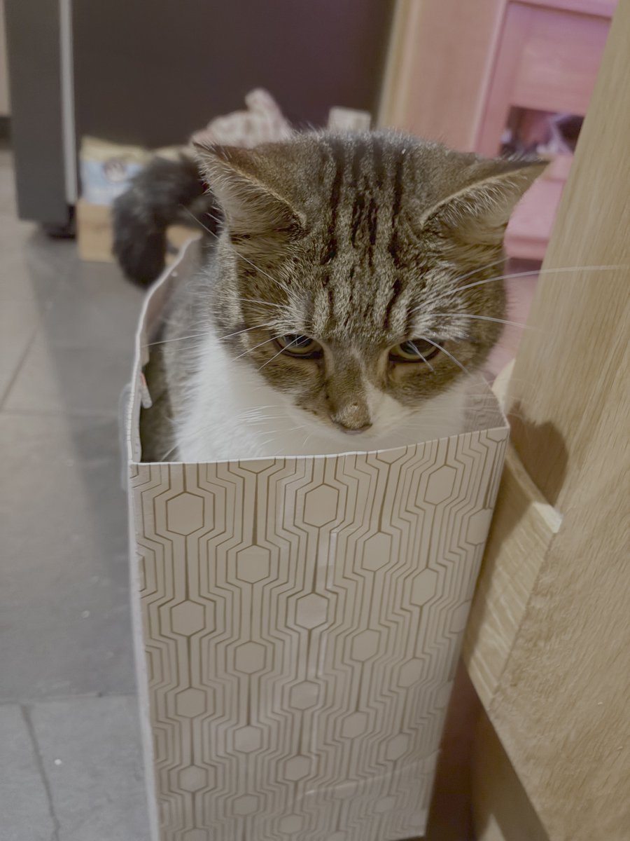 Alex Toft tweet media