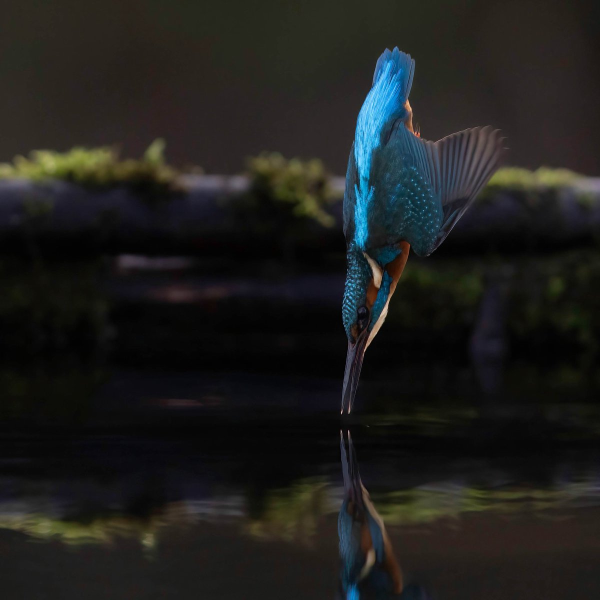 𝖢𝗅𝗈𝗌𝖾𝟤𝖱𝗂𝗏𝖾𝗋𝗌 tweet media