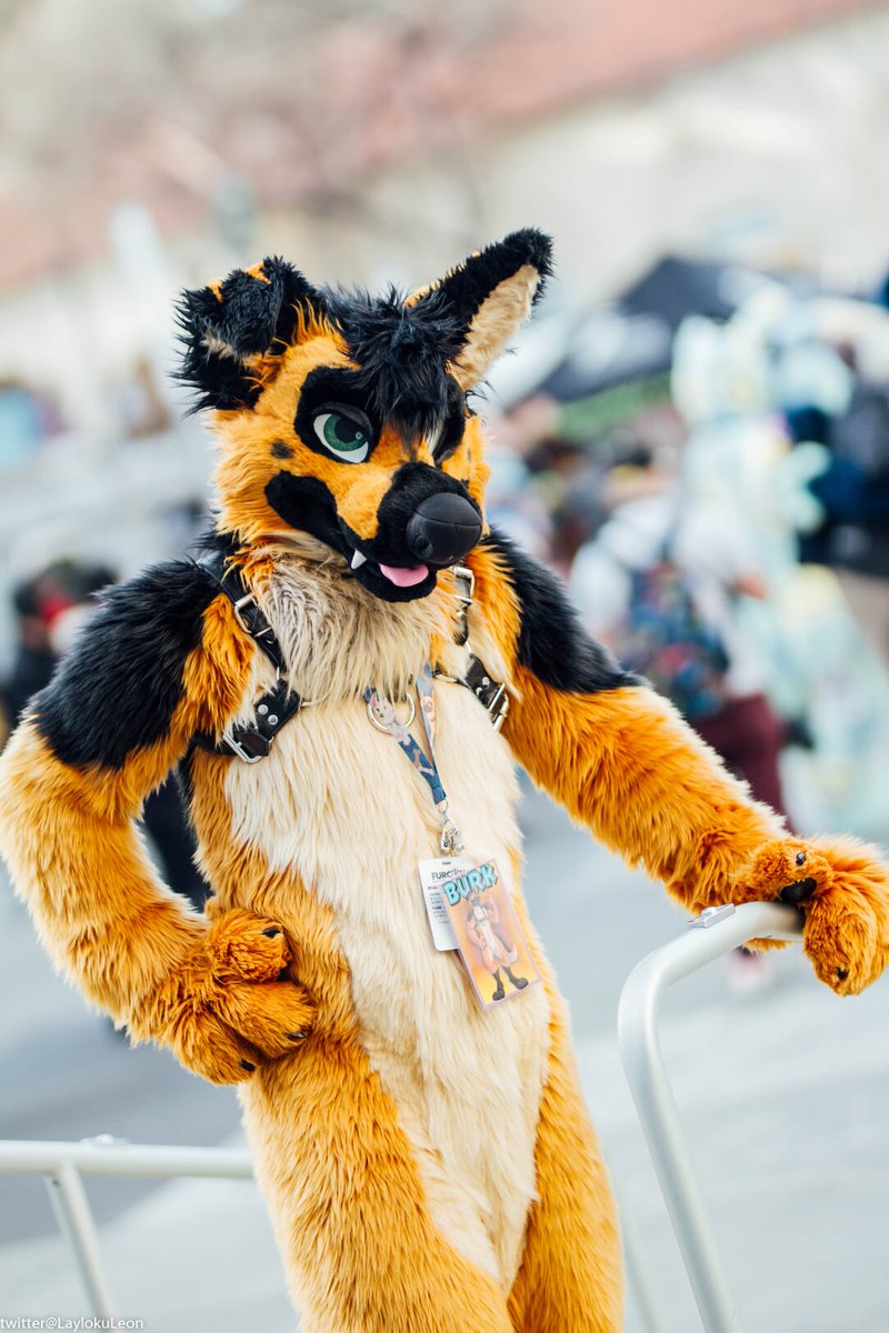 Hello! Dog here spoo ya wanna come bark it out?