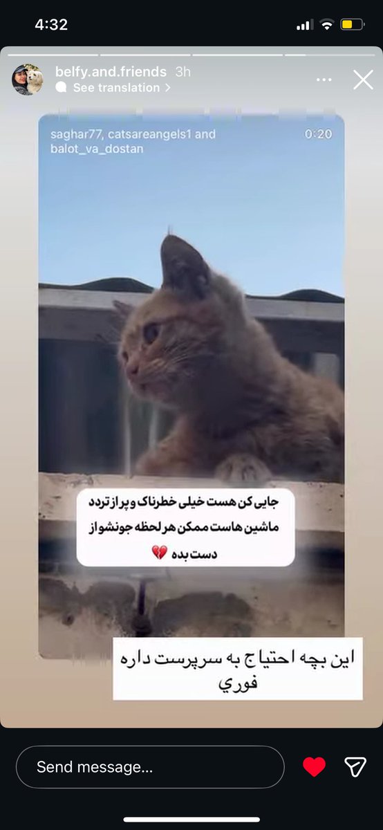 #ریتوییت #کمک #فوری #تهران این بچه رو سرپرست بی همه چیز و دیوثش رها کرده. کسی هست بهش جا بده؟؟
