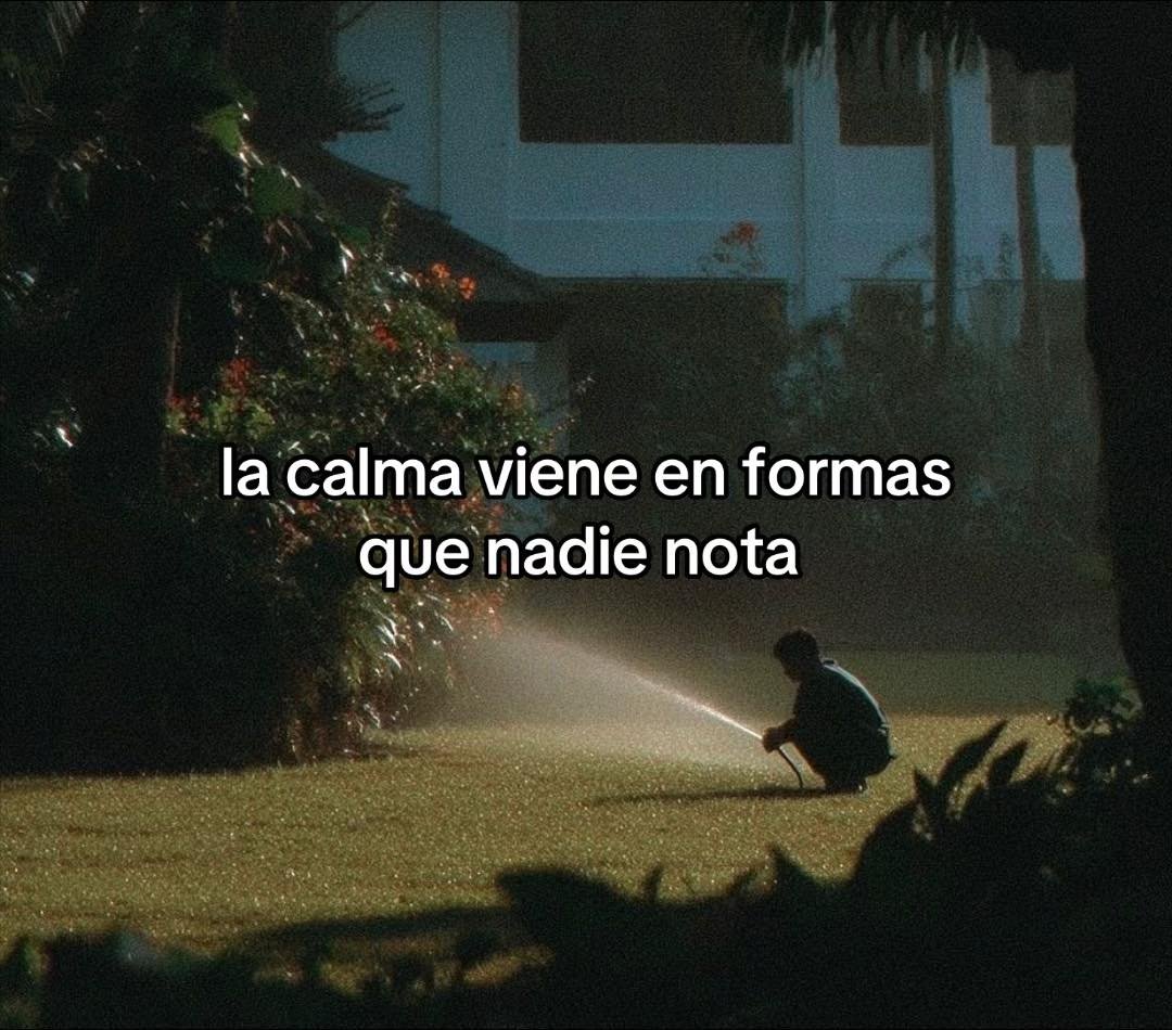 BANDIDOS (@bandidosfrasess) on Twitter photo 