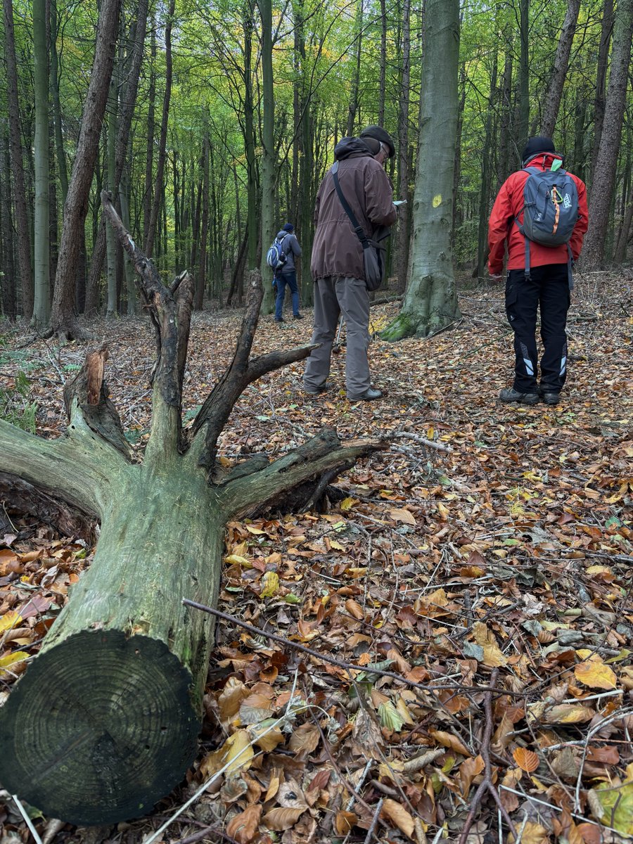 North York Moors Trust tweet media