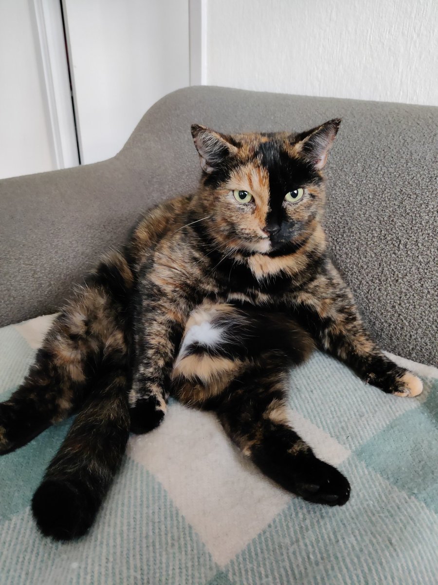 <a href="/CleeWeezy/">Littol Clee 🖤🧡</a> Cousin Sif is attending today