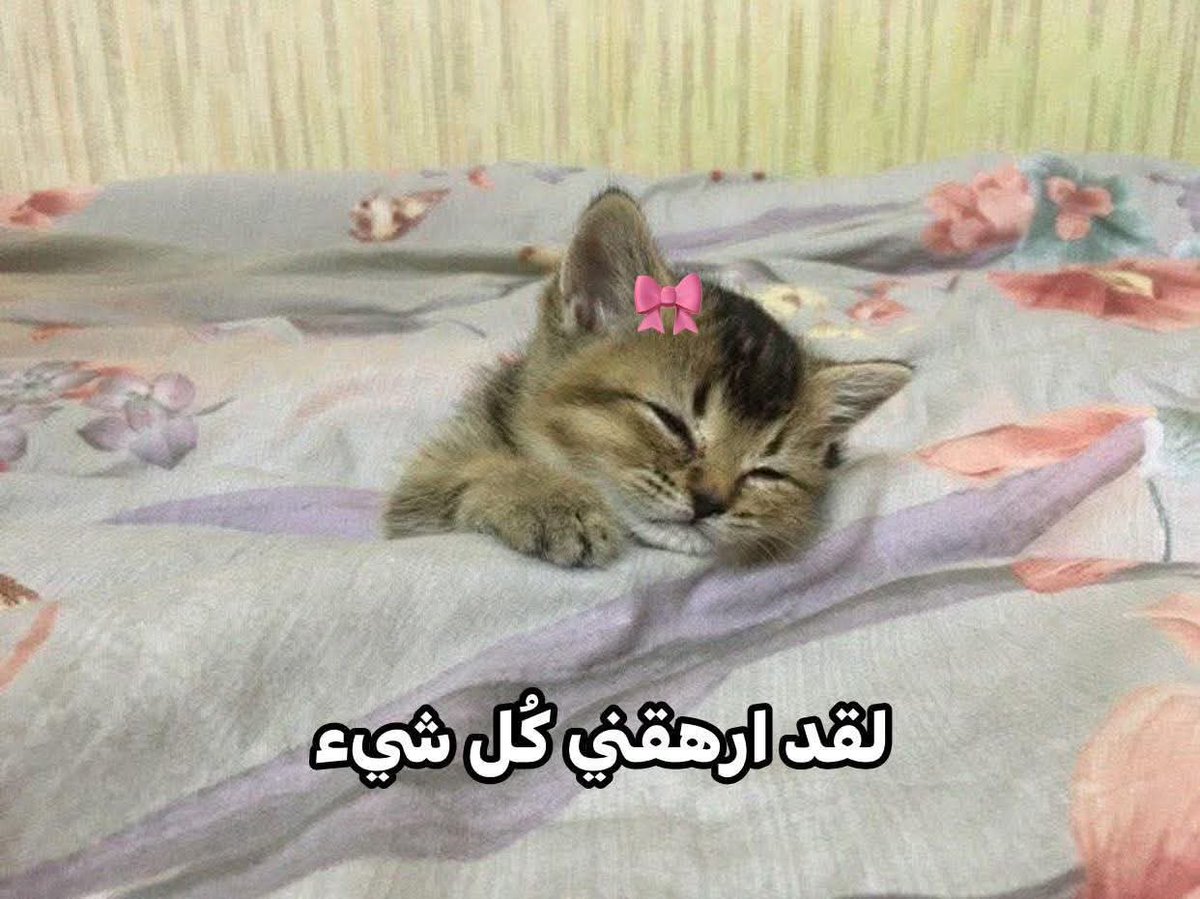 ema (@iemanayman) on Twitter photo 