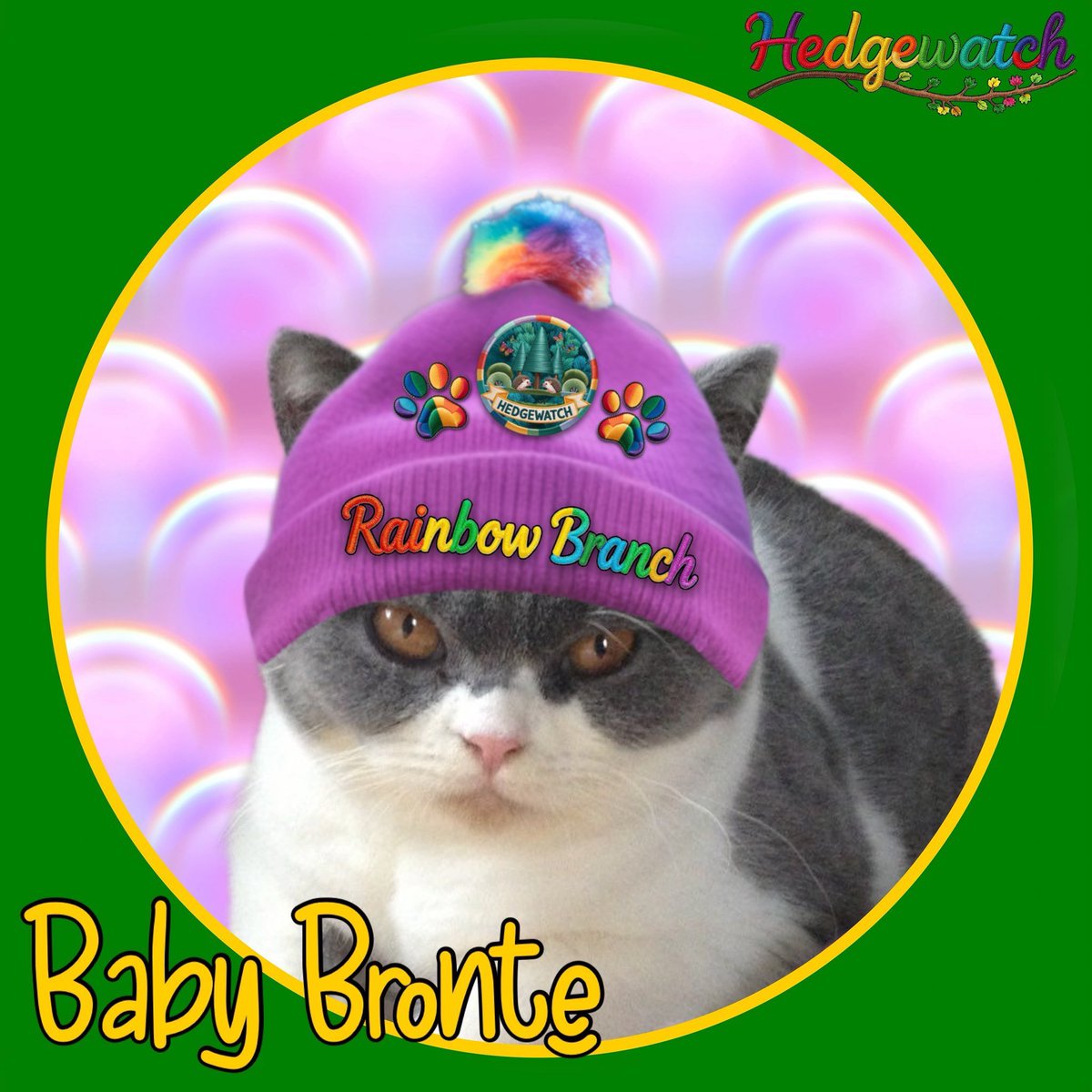 Please welcome Baby Bronte <a href="/Eliot01375004/">Eliot, big brofur of Atwood & Borys 🇦🇺 🇺🇦</a> to the #HedgewatchRainbowBranch. She is now pawtrolling the heavenly hedges with all her OTRB pals. She is missed by her big brother, Eliot and Borys and Atwood. Run free, sweet Baby Brontë. #Hedgewatch 💕💕