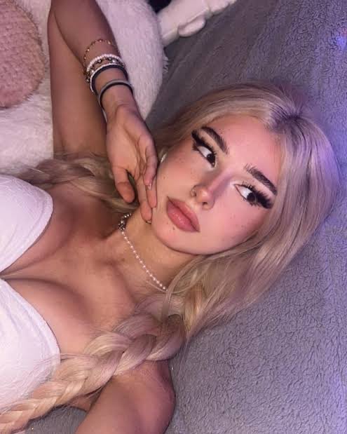 CatfishSCANDOM tweet media