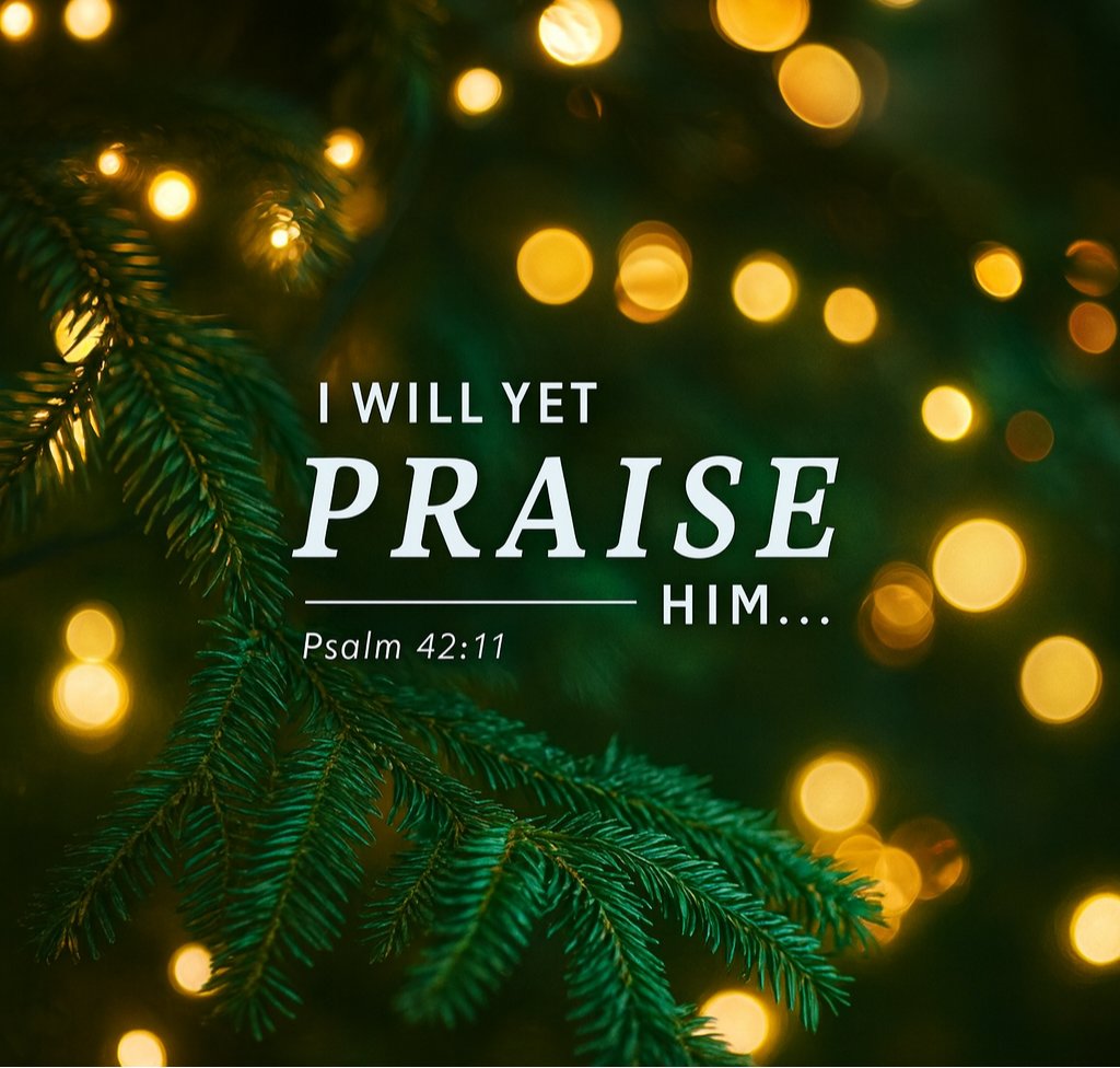 The Bible tweet media