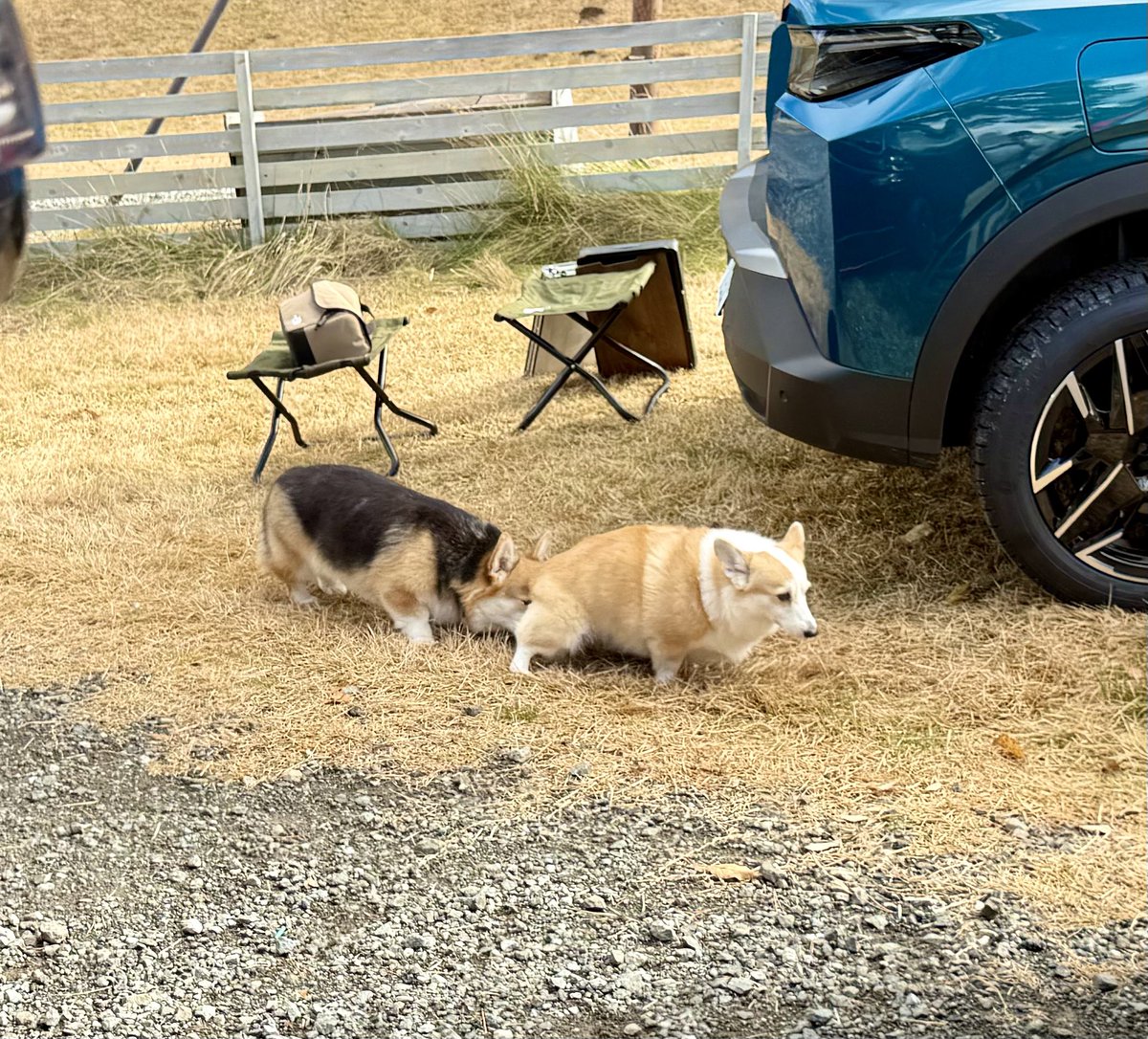 るーるるる (@rururuO0o8) / Posts / X