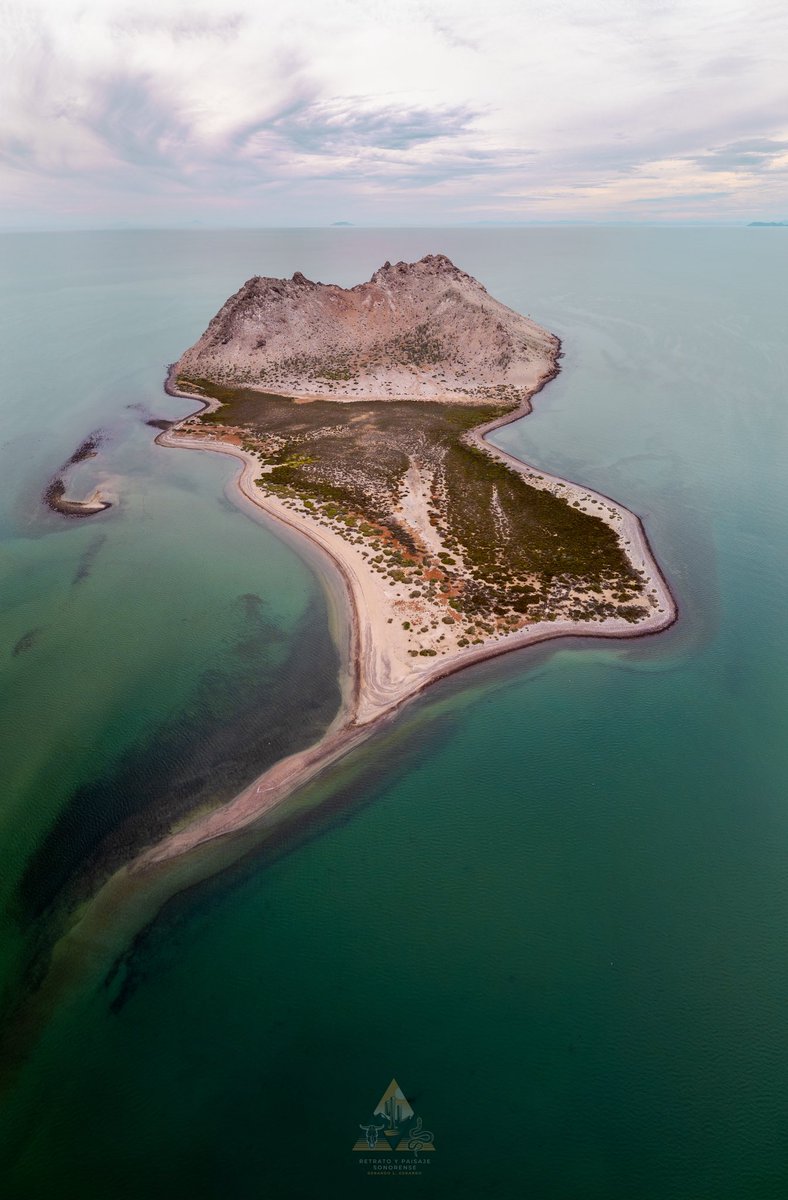 Amanecer en la mejor playa de Sonora. 
📍Bahia de Kino.