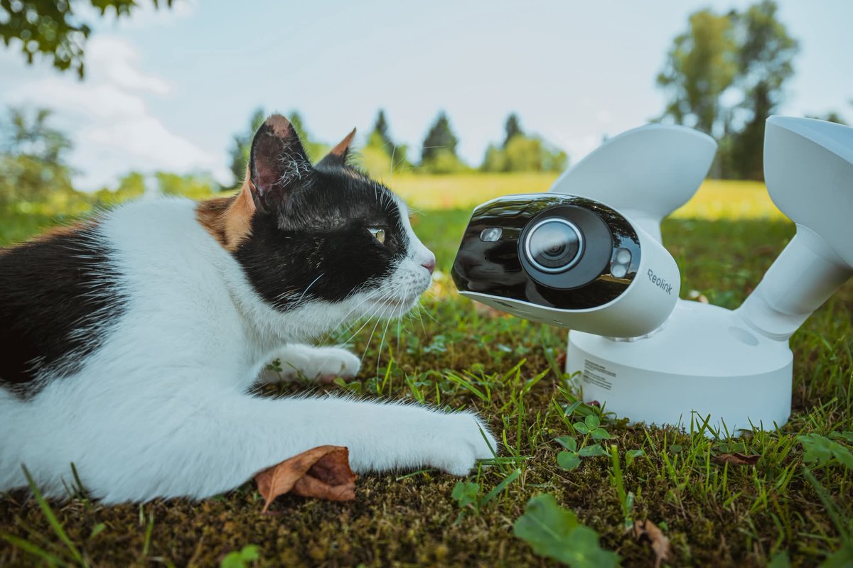 TST_GroupPolska's tweet image. Monitoring Reolink dostępny na tst.pl 📸
🔐 Lepsze ceny po zalogowaniu
✅ Sprawdzone rozwiązania
✅ Profesjonalny sprzęt

#Reolink #CCTV #Security #TSTpl