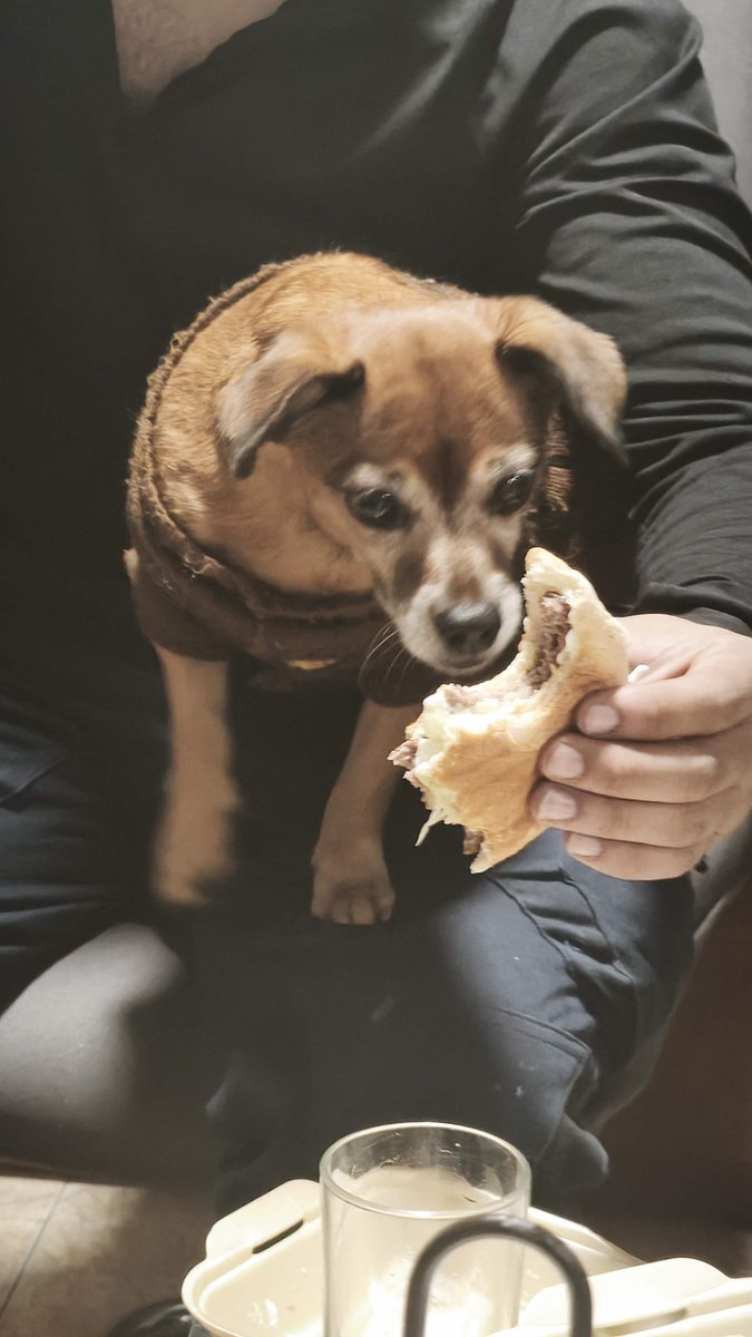 💛 Rocco 💜 tweet media