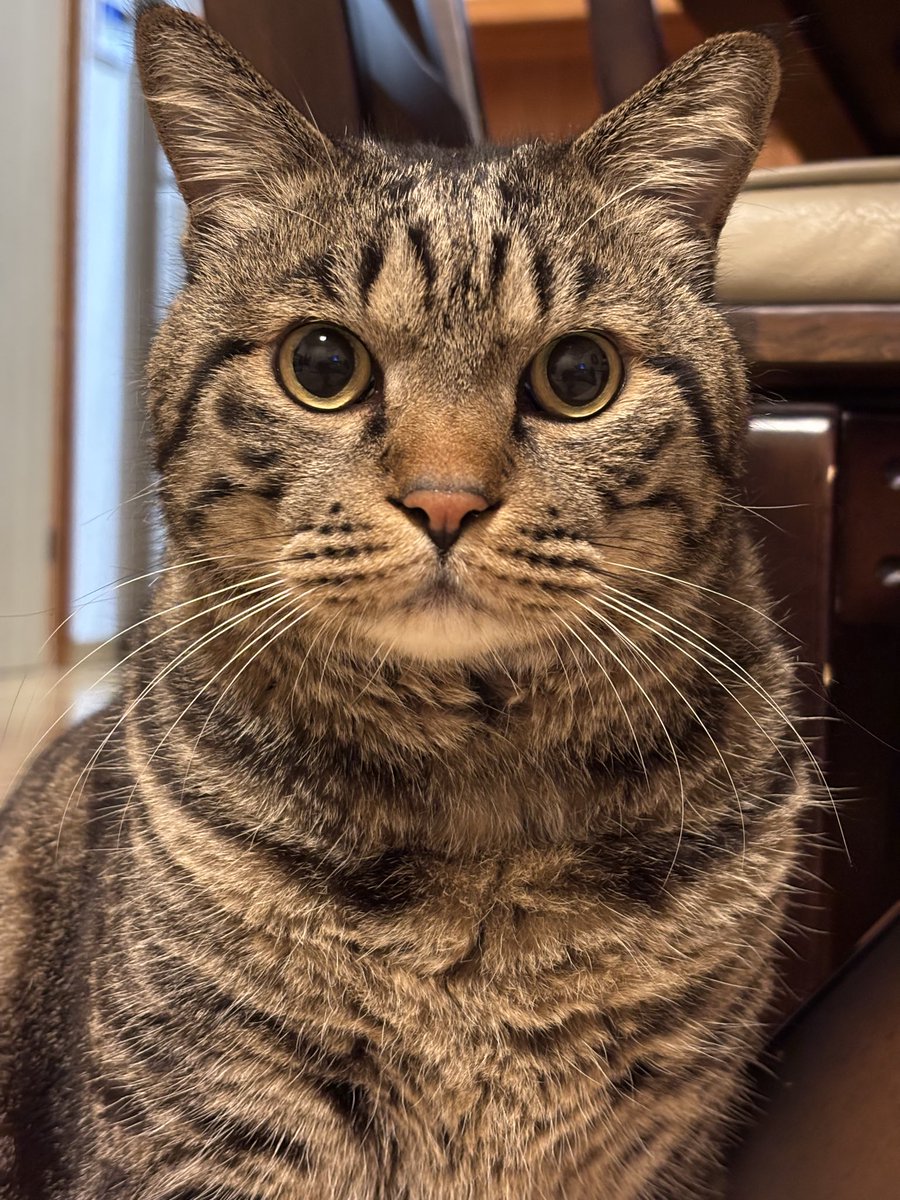 TH82624015's tweet image. おはようございます♪
師走に入りました。宜しくお願いします。
今日は月曜日だからきついだろうけど頑張れ！