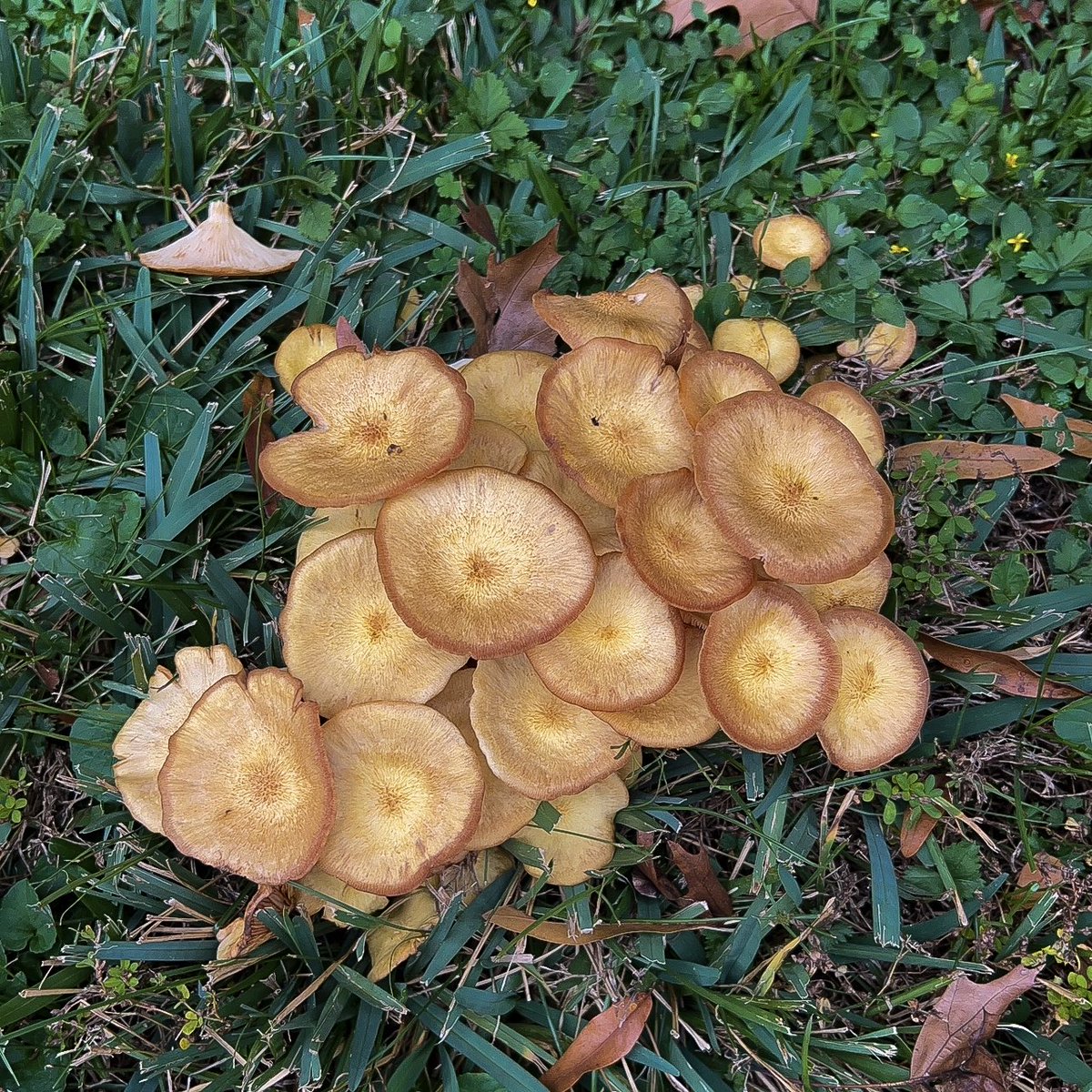 Ambrielle Butler is ✨AGENTED✨ tweet media