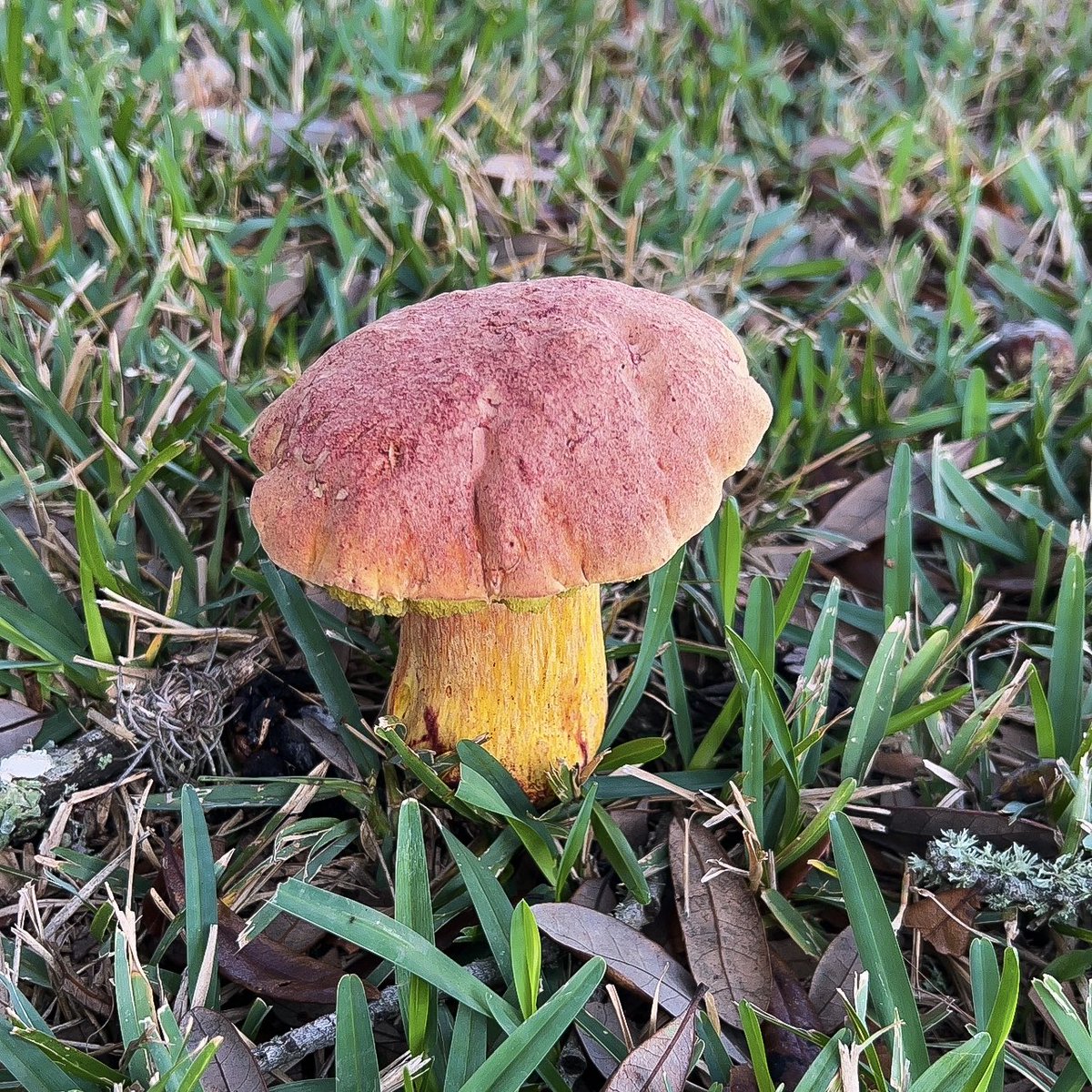 Ambrielle Butler is ✨AGENTED✨ tweet media