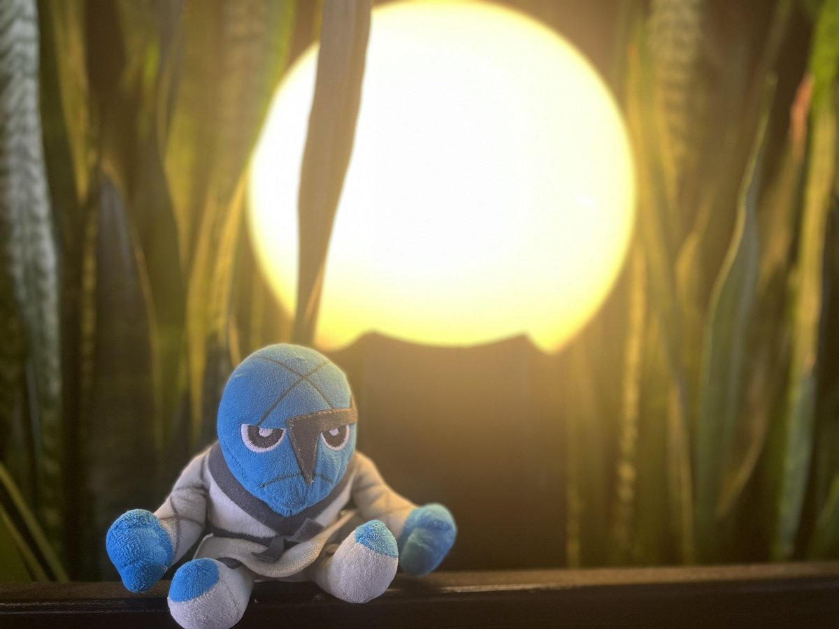 ToyboxFriends's tweet photo. 🥋
Training in the tall grass! 
#pokeplush #plush #plushie #sawk https://t.co/vB3AzISMPB