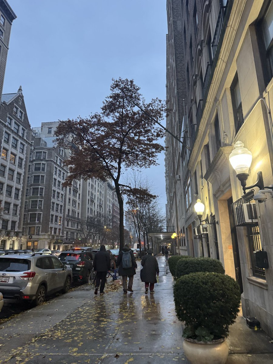 aghanamy's tweet image. November in Manhattan ❄️