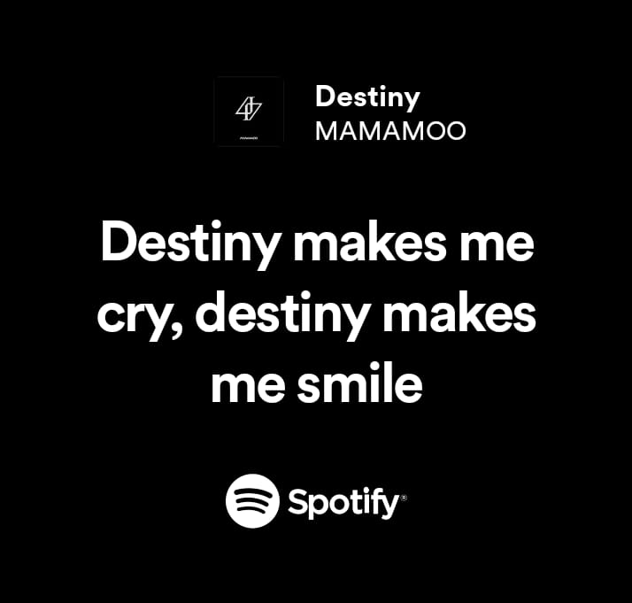 Hwasa mulamba tweet media