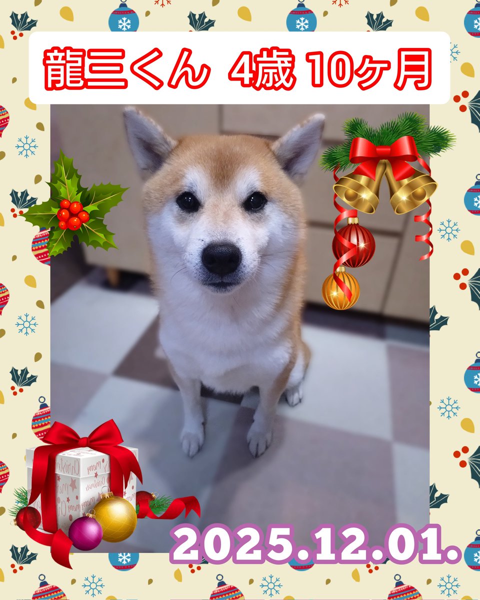 龍ちゃんズとよっちゃんみっちゃん (@ryuchan123bro) / Posts / X