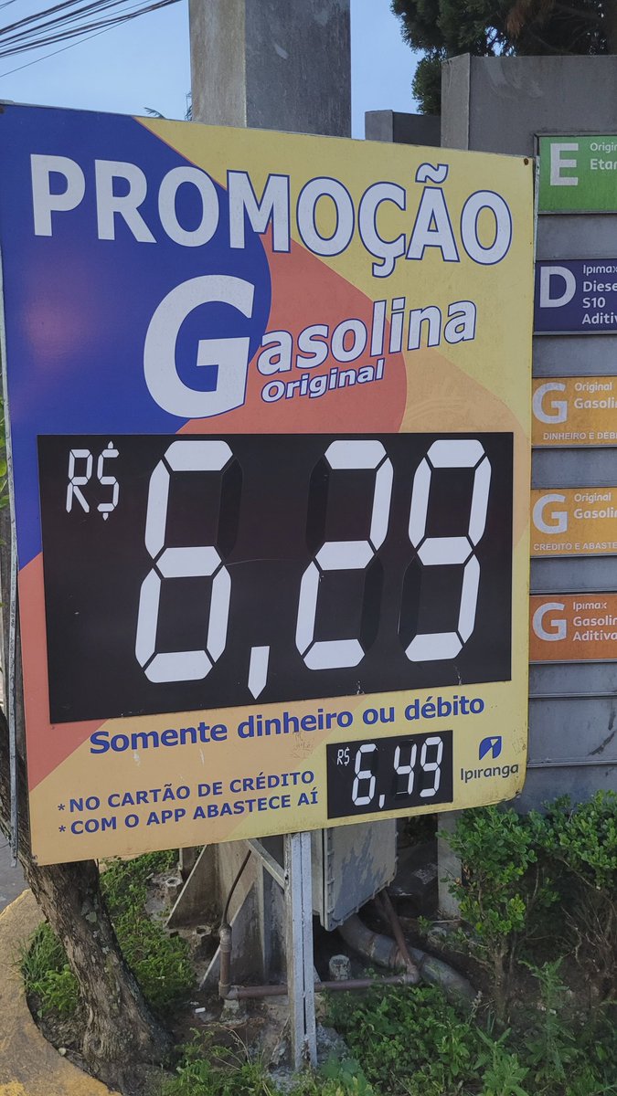 Sara Nunes ✌🤷‍♀️ tweet media