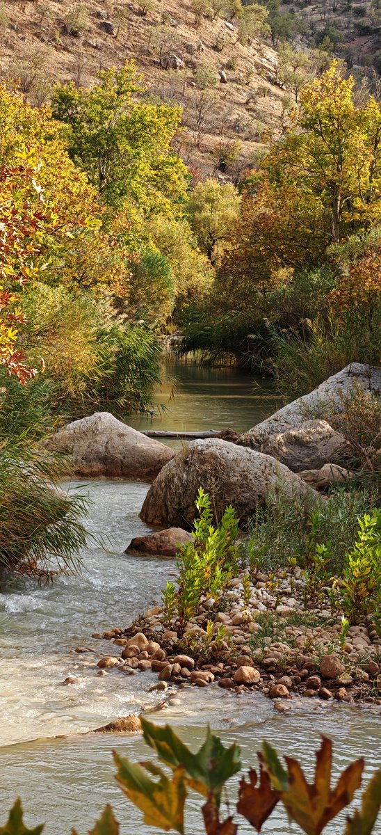 Hey malxirab, tu guhdarî ke
Per û baskan li ser min sî ke
Min jî di gel xwe rêwî ke
çend giliyan li min safî ke
Feqiyê Teyra -Quling