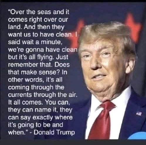 Littlewisehen tweet media