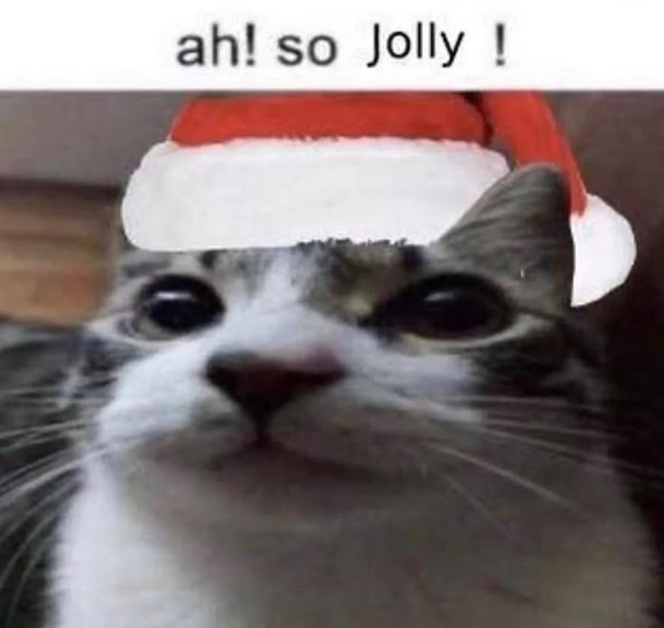 _ShadowOfTheEnd's tweet photo. @littlebird64827 · "...The perfect image .."
· [#feelingjolly] https://t.co/gHqB5U16SO