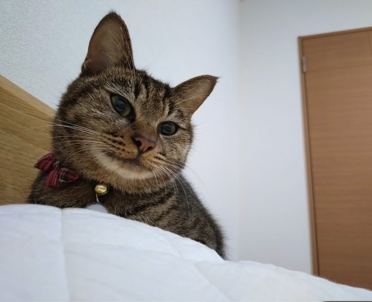 みぃ (@Js4zeKqmJxbnVBS) / Posts / X