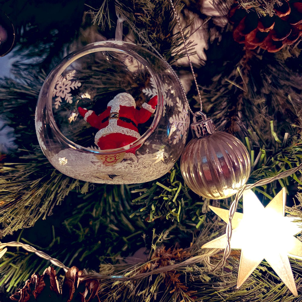 TorkenCorp's tweet image. おはようございます🌞
しっかりと爆睡でした。
この土日は家の中を整えてました。
12月だし少しずつ大掃除しないとね！
水槽も丸ごとリプレースしツリーも出しました〜！🎄
12月は歌ってみたが投稿イベントで2曲でますので楽しみにしていたただけると嬉しいです！
今月もよろしくお願いします〜！