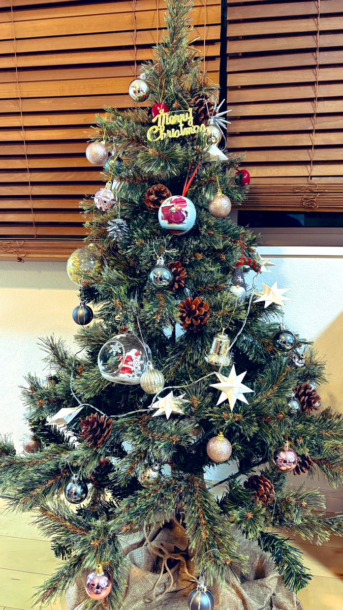 TorkenCorp's tweet image. おはようございます🌞
しっかりと爆睡でした。
この土日は家の中を整えてました。
12月だし少しずつ大掃除しないとね！
水槽も丸ごとリプレースしツリーも出しました〜！🎄
12月は歌ってみたが投稿イベントで2曲でますので楽しみにしていたただけると嬉しいです！
今月もよろしくお願いします〜！