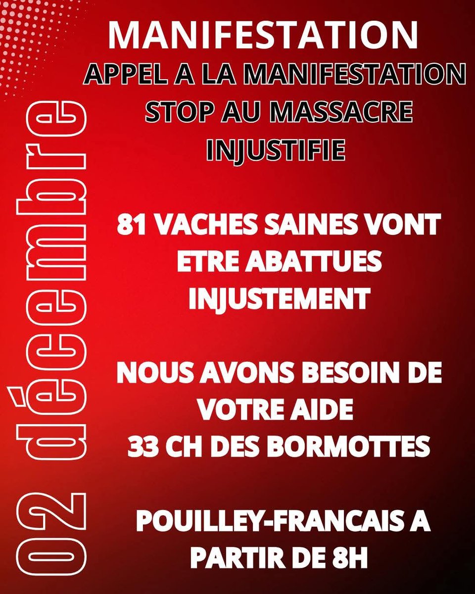 BanounHelene's tweet image. Manifestation 2 déc dans le Doubs contre l&apos;abattage de 82 vaches vaccinées le 22/10 (certaines ayant reçu 2 doses!)
Une seule vache présente nodules dus au virus sauvage selon les autorités qui REFUSENT une contre-expertise aux éleveurs.
Les vaccins protègent en 21 j à 28 j