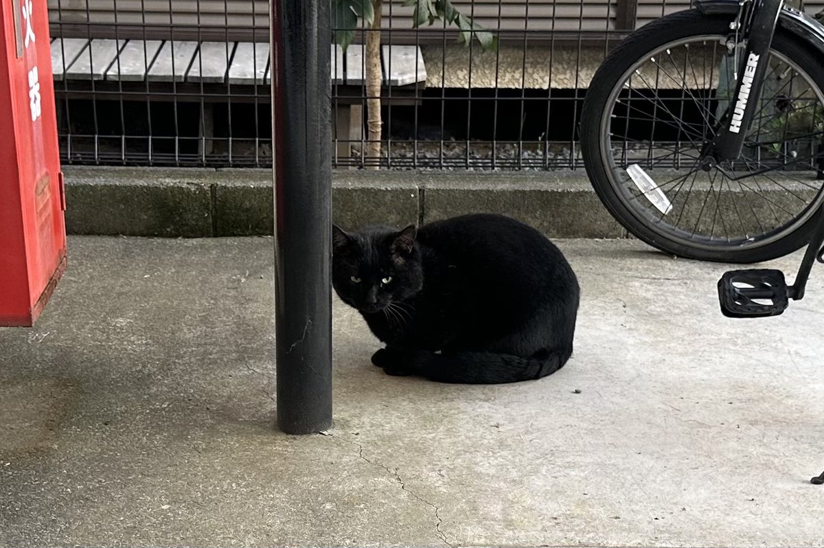 ハチさま✩︎⡱ ご確認用ページ ハチ (@na_mroon5) / Posts / X