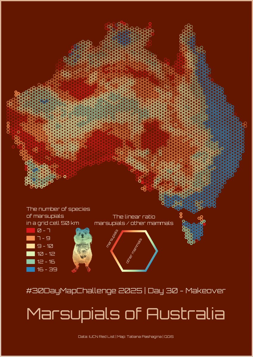 viola__alba's tweet image. #30DayMapChallenge Day 30 – Makeover.
I remade my map of Australian marsupials I made for Hexagon Day. I added a linear ratio (the hexagons are scaled by linear dimensions, not area) of marsupials to other mammals.
🐭🦇✨🦘🐨