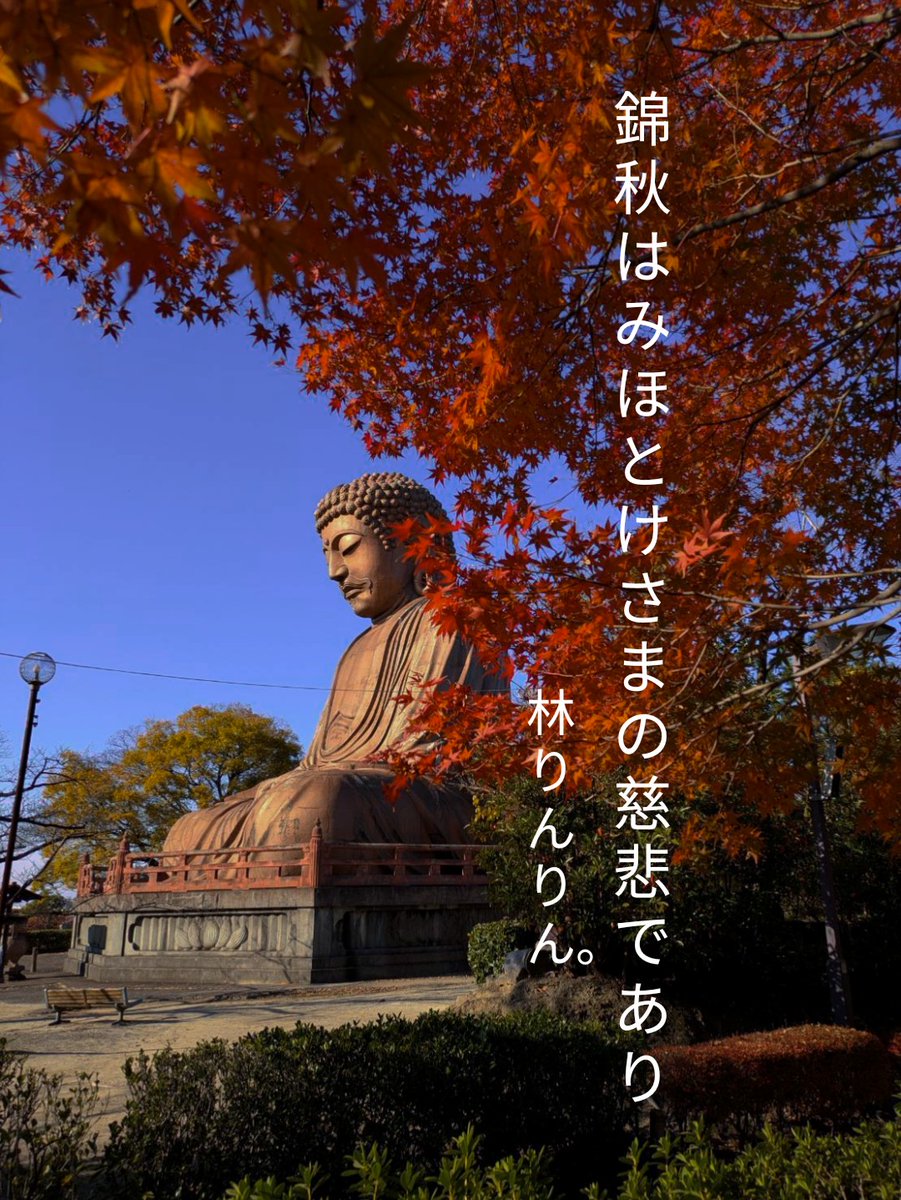 知人から紅葉２４枚送信されて来たので句を付けて御礼返信。
けど、俳句はわからんと…
(T_T)

#プレバト