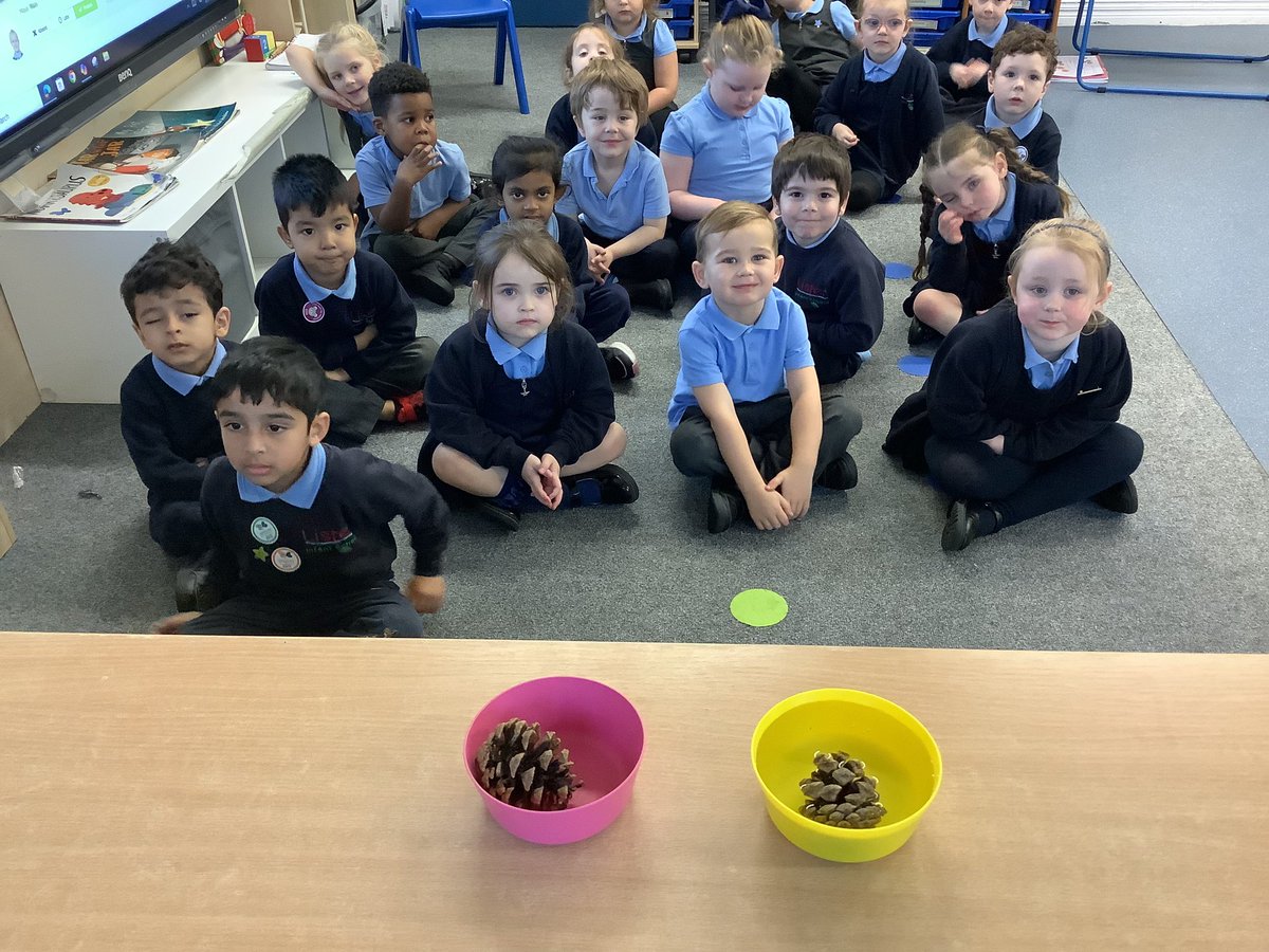 ListerInf_Rec's tweet image. So much fun carrying out an experiment to see if a pine cone can predict the weather?…unfortunately not, but it does close up when wet and opens up when dry! ☔️☀️🌲