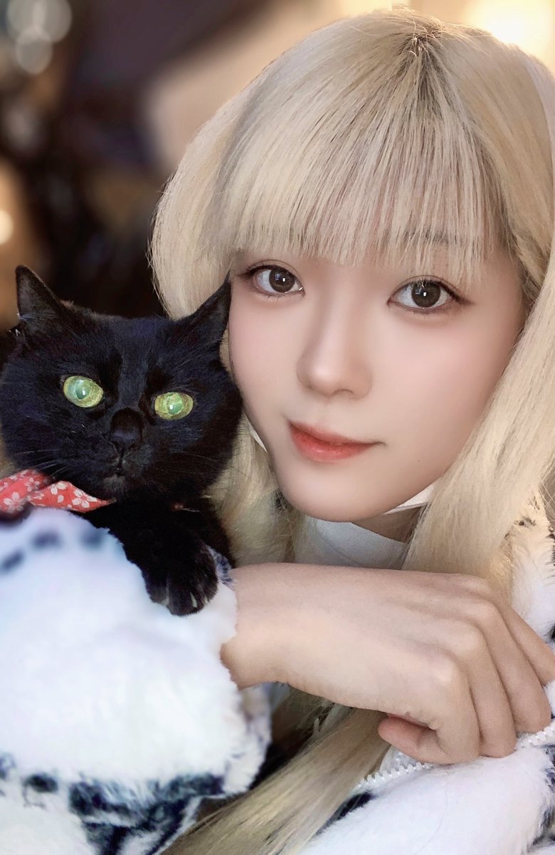 コタロウ🐱Sirius（Ami）🥁(^o^)! (@wKy28vEBNx87434) / Posts / X