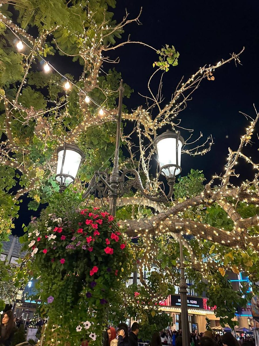 LadyOD799's tweet photo. December. A new month, the last lap. I’m not looking back—only forward✨ https://t.co/uMug3jNUQB