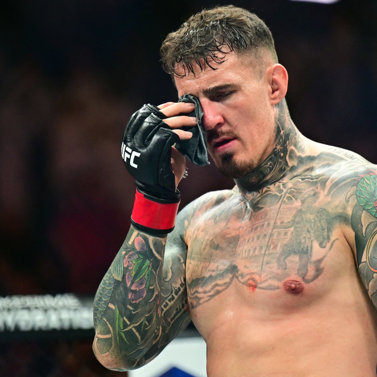 M8 Zyd 🌙 tweet media