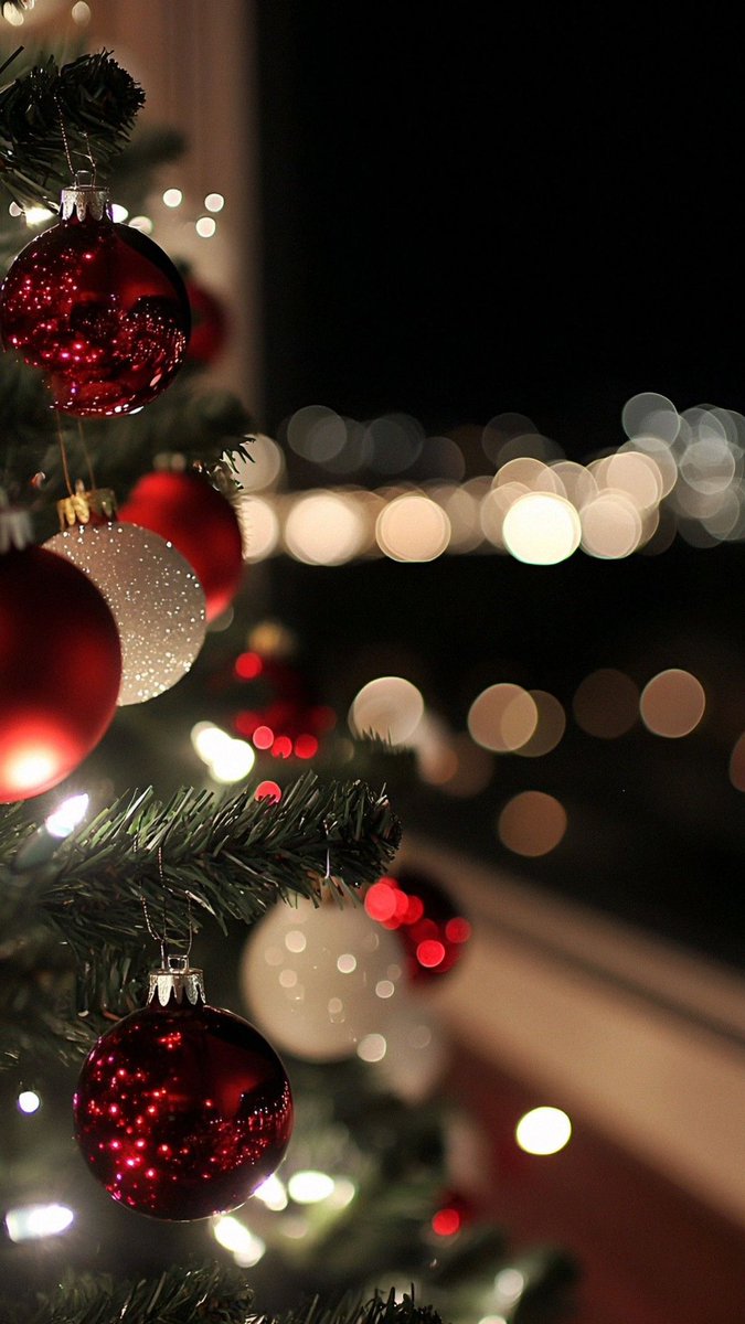 hisiltan's tweet photo. 1 ARALIK 🎄🎅🏻💫 https://t.co/Rd9fGJ8B98