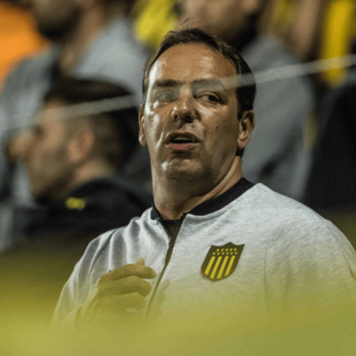 Vos mejor tenés que cerrar el orto y no decir estas pavadas tribuneras nunca másen tu puta vida, que sos un mufa hijo de puta y el peor presidente de la historia del club.