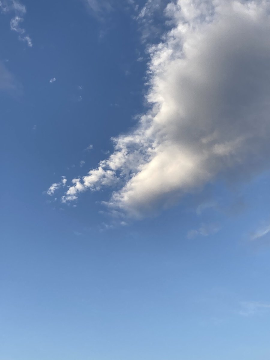 soap_dreamer's tweet image. おはようございます。
12/1(月)もよろしくお願いします。
空に雲ご多く浮かぶ中、昼間は暖かくなる予報です。
穏やかに週の、月のスタートを切ることができますように……

#空を見上げて #出勤