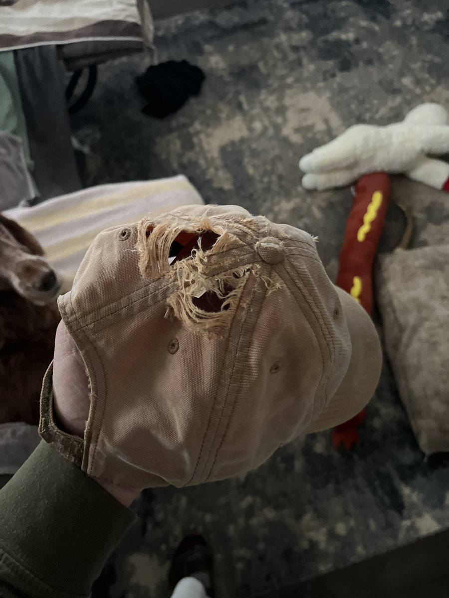 Rip to another one
If you know me
You know this color and this style <a href="/Carhartt/">Carhartt</a> is the only hat I wear