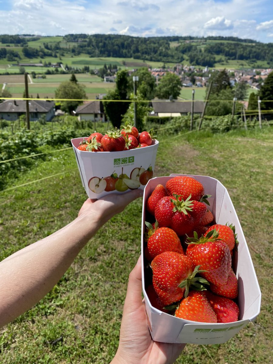 ella69_zoe's tweet photo. Berries and vegetables for self-picking Weidmann Embrach, Bergstrasse 127, 8424 Embrach, Switzerland https://t.co/UGHGGRY1D5