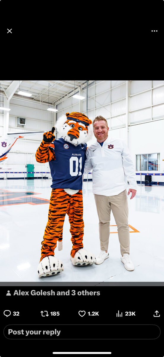 Auburn 🅿️ops 🌳❄️ tweet media