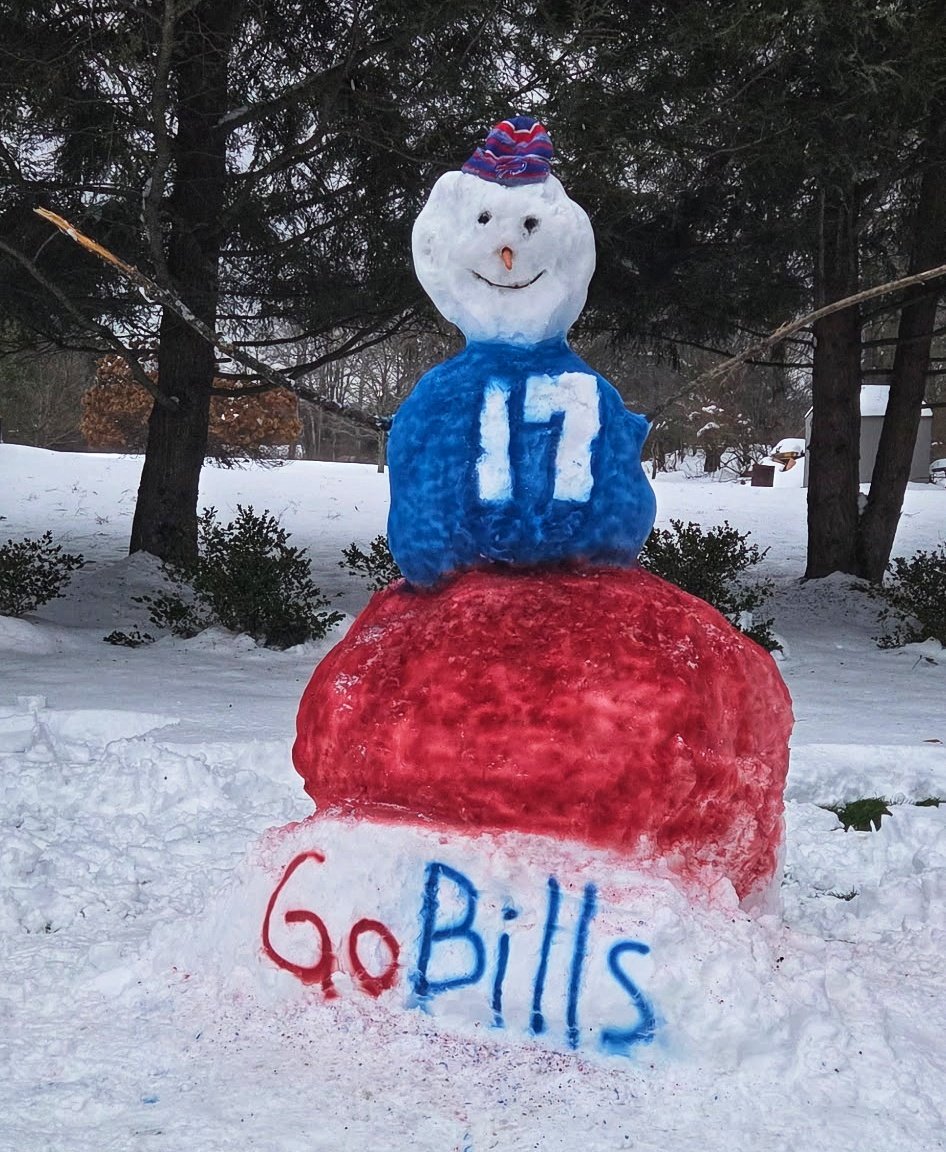 DewGills's tweet photo. Go Bills! #BUFvsPIT #BillsMafia https://t.co/xQ72SM6bOe