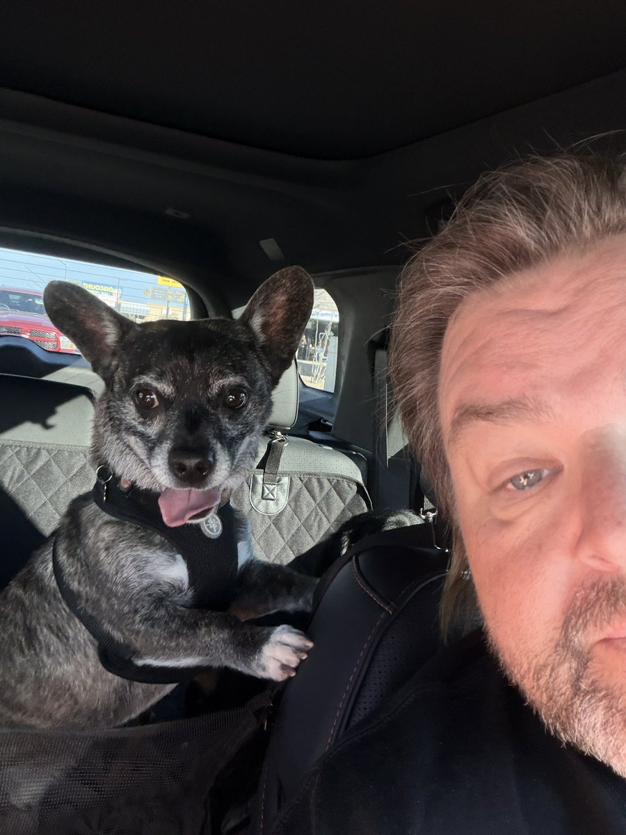 KarateCh1cken's tweet photo. Breakout from @PetSmart #Arrowhead #Arizona #dogsarefamily #dogsarelife #purelove https://t.co/OKdJoq9iJG
