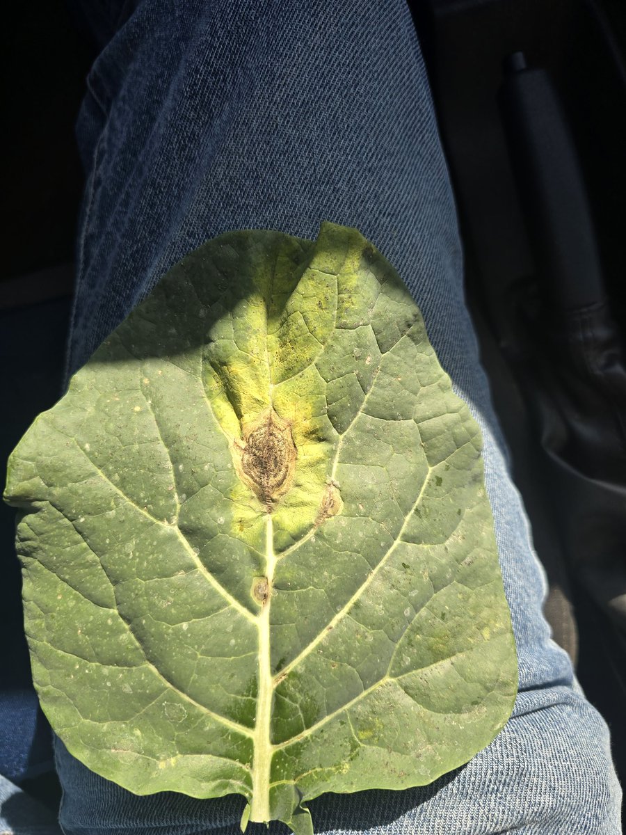 Tim Flanders tweet media