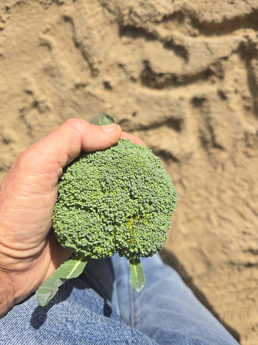 Tim Flanders tweet media