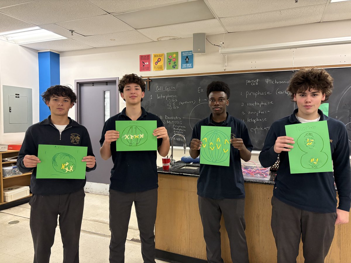 mpsjscience's tweet photo. Our Gr 10 scientists and their mitosis art show! 
🧬 o -> O -> 8 -> o o 

#mpsjscience @MPSJ_TCDSB https://t.co/rUf5d1MoHC