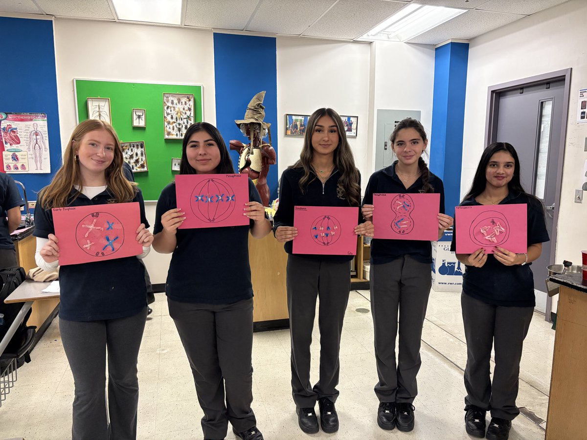 mpsjscience's tweet photo. Our Gr 10 scientists and their mitosis art show! 
🧬 o -> O -> 8 -> o o 

#mpsjscience @MPSJ_TCDSB https://t.co/rUf5d1MoHC